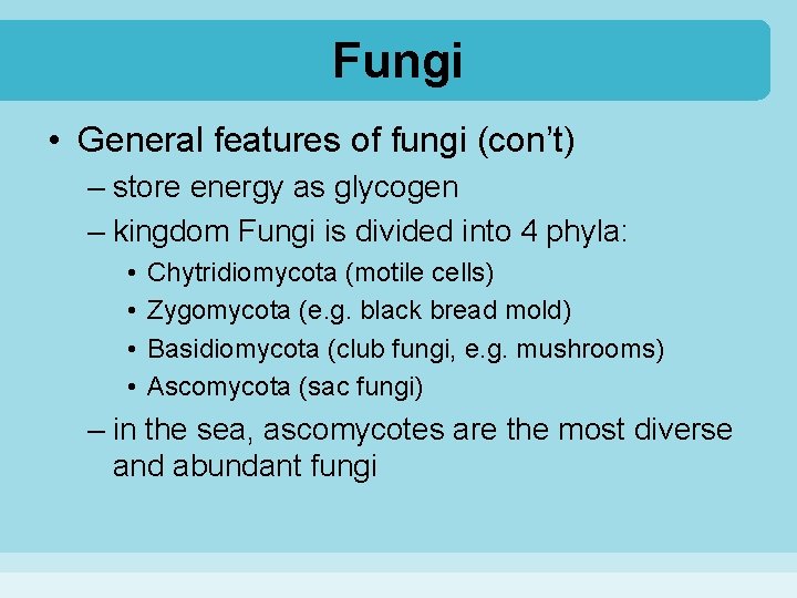 Fungi • General features of fungi (con’t) – store energy as glycogen – kingdom