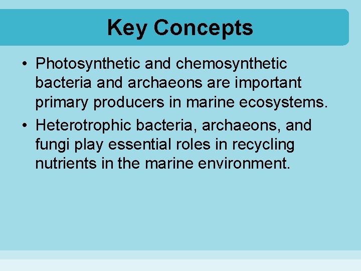 Key Concepts • Photosynthetic and chemosynthetic bacteria and archaeons are important primary producers in