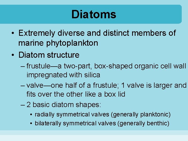 Diatoms • Extremely diverse and distinct members of marine phytoplankton • Diatom structure –