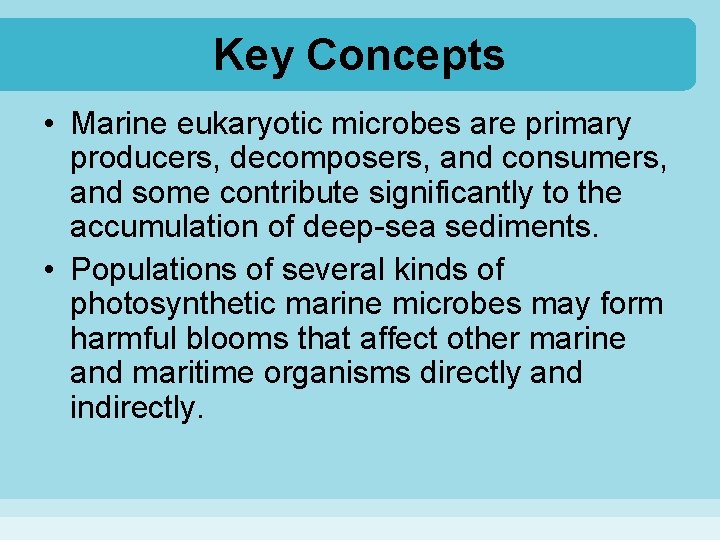 Key Concepts • Marine eukaryotic microbes are primary producers, decomposers, and consumers, and some