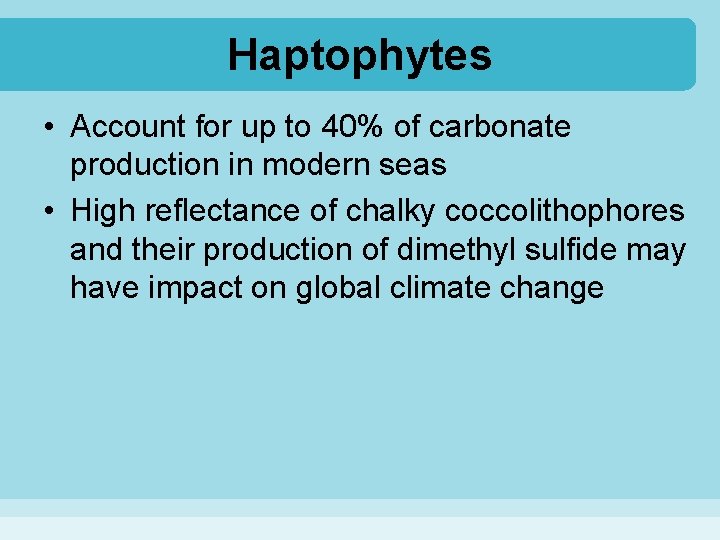 Haptophytes • Account for up to 40% of carbonate production in modern seas •