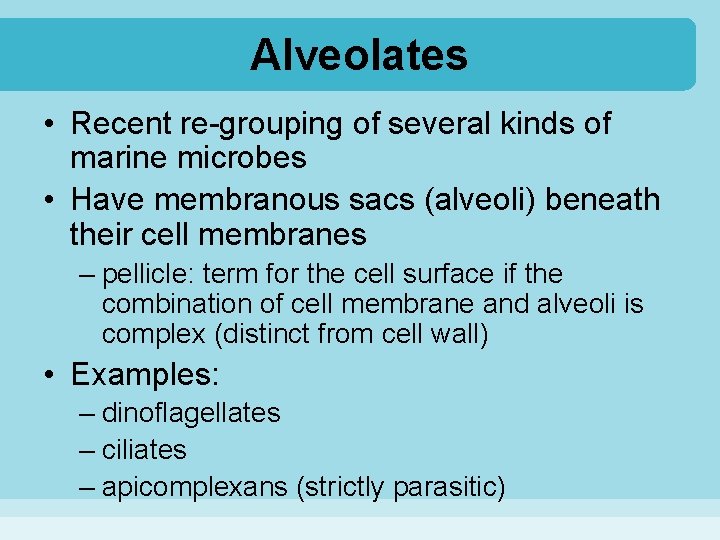 Alveolates • Recent re-grouping of several kinds of marine microbes • Have membranous sacs