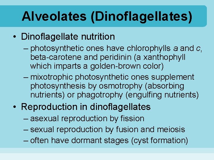 Alveolates (Dinoflagellates) • Dinoflagellate nutrition – photosynthetic ones have chlorophylls a and c, beta-carotene