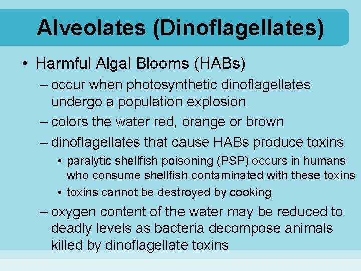 Alveolates (Dinoflagellates) • Harmful Algal Blooms (HABs) – occur when photosynthetic dinoflagellates undergo a