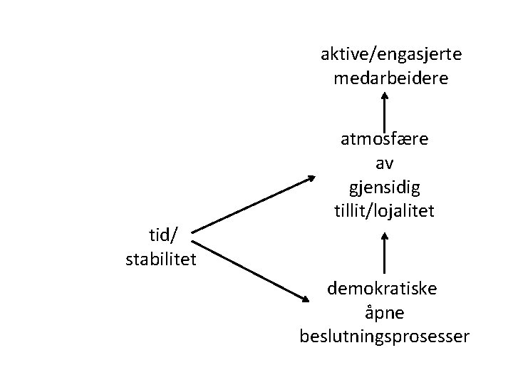 aktive/engasjerte medarbeidere tid/ stabilitet atmosfære av gjensidig tillit/lojalitet demokratiske åpne beslutningsprosesser 