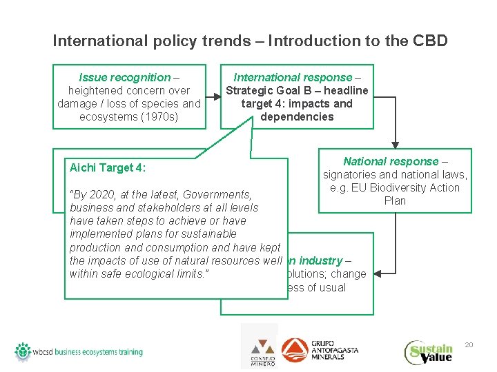 International policy trends – Introduction to the CBD Issue recognition – heightened concern over
