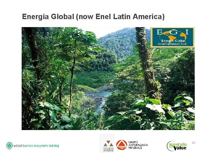 Energia Global (now Enel Latin America) 23 