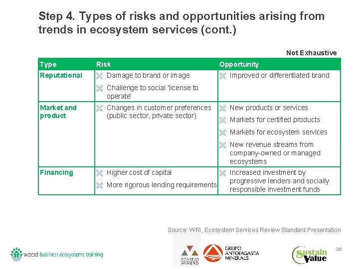 Step 4. Types of risks and opportunities arising from trends in ecosystem services (cont.