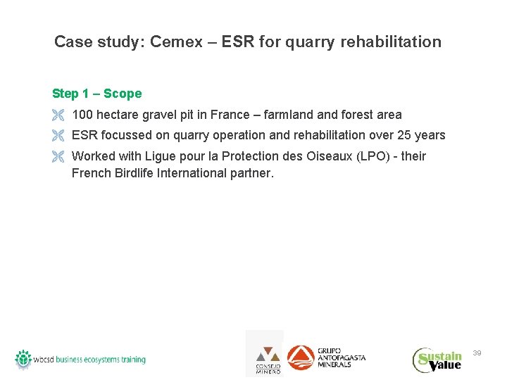 Case study: Cemex – ESR for quarry rehabilitation Step 1 – Scope Ë 100