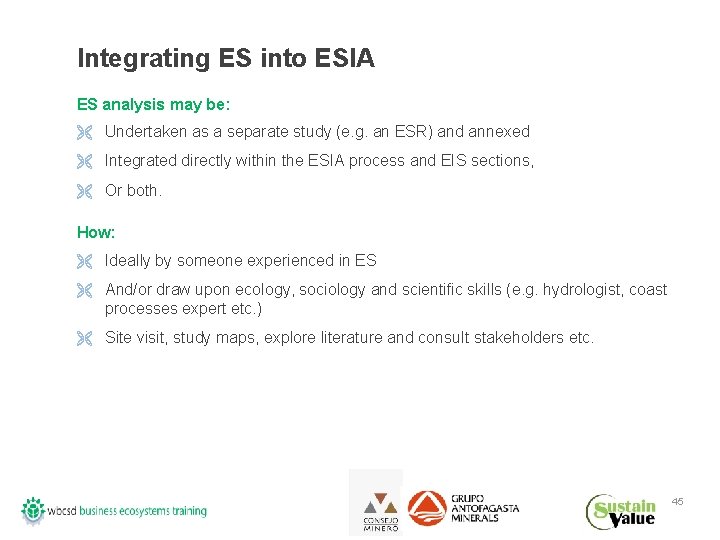 Integrating ES into ESIA ES analysis may be: Ë Undertaken as a separate study