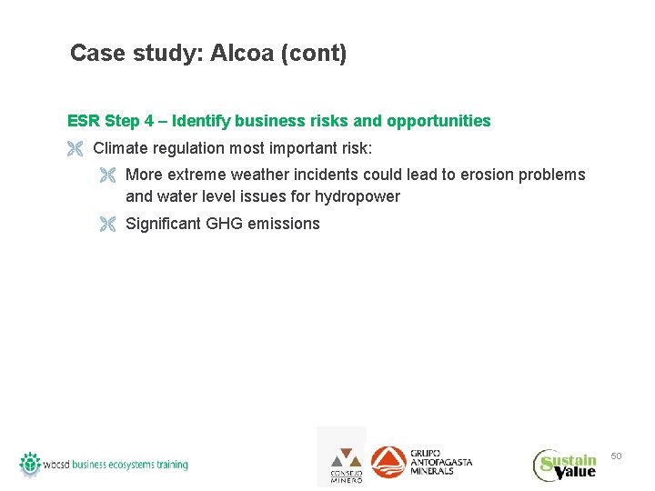 Case study: Alcoa (cont) ESR Step 4 – Identify business risks and opportunities Ë