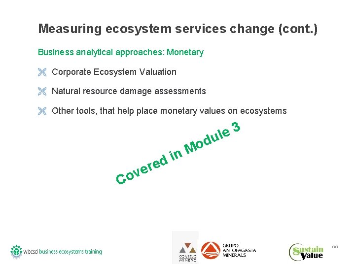 Measuring ecosystem services change (cont. ) Business analytical approaches: Monetary Ë Corporate Ecosystem Valuation