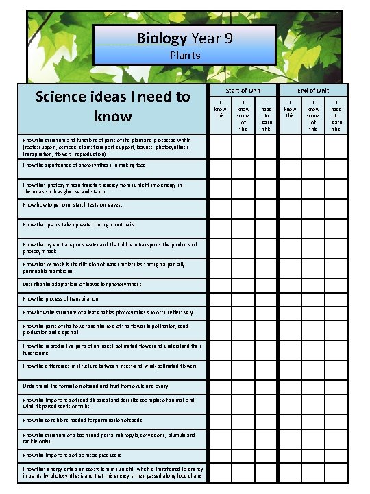 Biology Year 9 Plants Science ideas I need to know Know the structure and