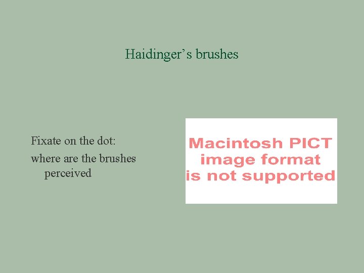 Haidinger’s brushes Fixate on the dot: where are the brushes perceived 