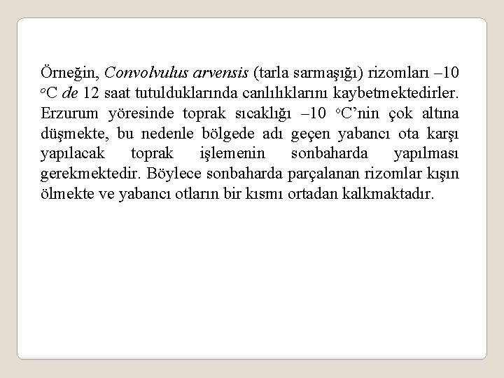 Örneğin, Convolvulus arvensis (tarla sarmaşığı) rizomları – 10 o. C de 12 saat tutulduklarında