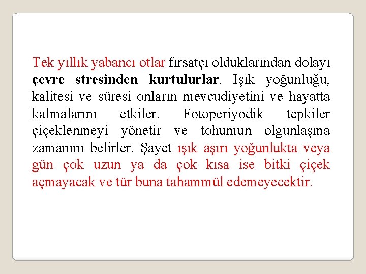 Tek yıllık yabancı otlar fırsatçı olduklarından dolayı çevre stresinden kurtulurlar. Işık yoğunluğu, kalitesi ve