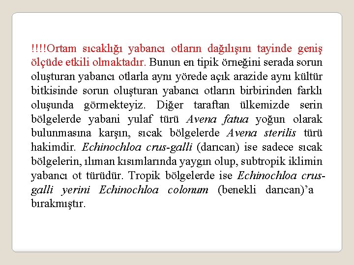 !!!!Ortam sıcaklığı yabancı otların dağılışını tayinde geniş ölçüde etkili olmaktadır. Bunun en tipik örneğini