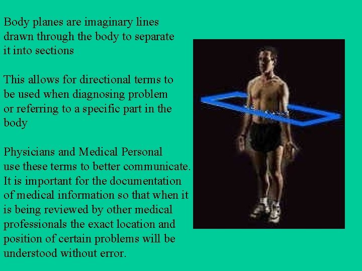 Body planes are imaginary lines drawn through the body to separate it into sections