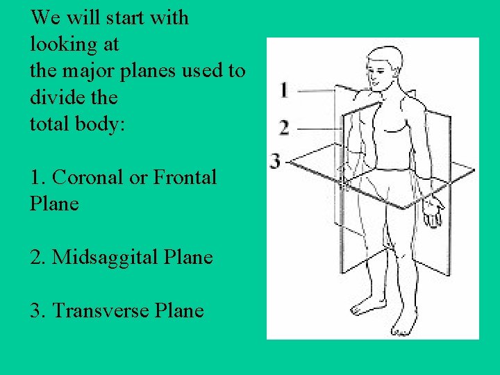 We will start with looking at the major planes used to divide the total