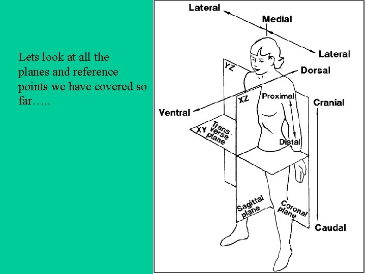 Lets look at all the planes and reference points we have covered so far….