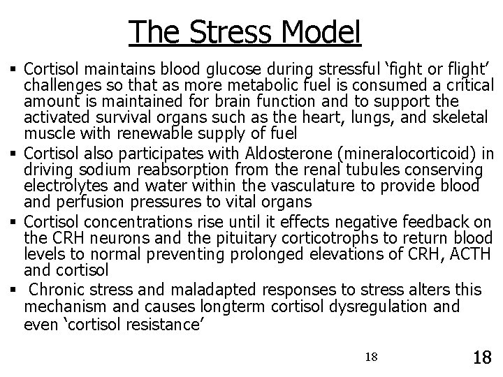The Stress Model § Cortisol maintains blood glucose during stressful ‘fight or flight’ challenges