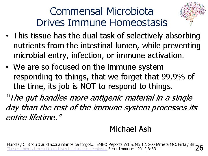 Commensal Microbiota Drives Immune Homeostasis • This tissue has the dual task of selectively