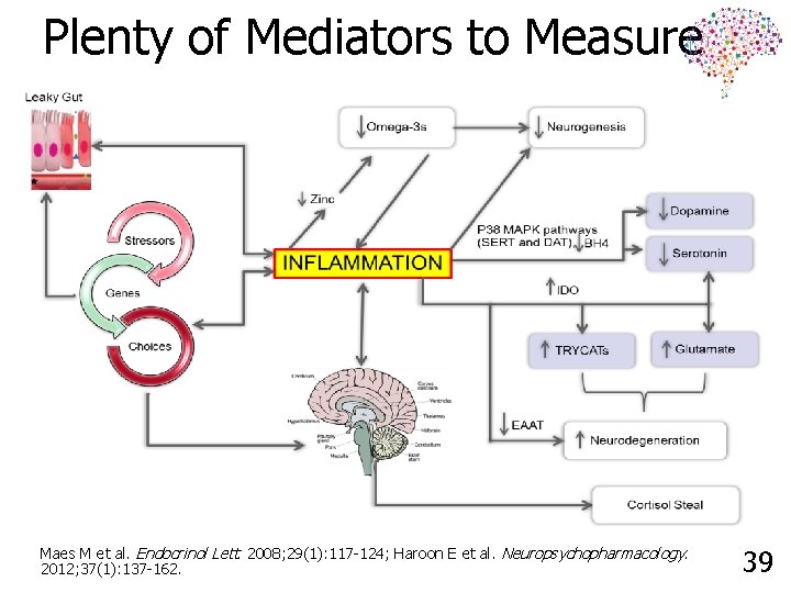 Plenty of Mediators to Measure Maes M et al. Endocrinol Lett. 2008; 29(1): 117