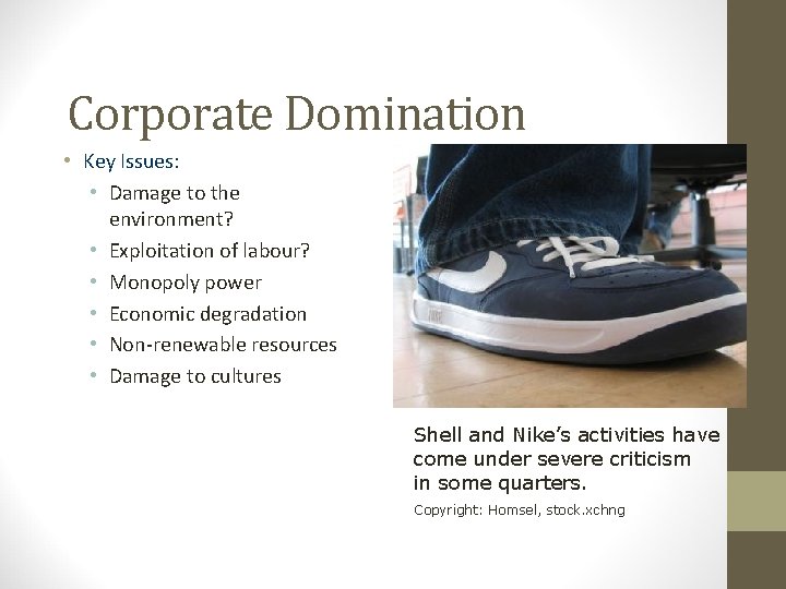 Corporate Domination • Key Issues: • Damage to the environment? • Exploitation of labour?