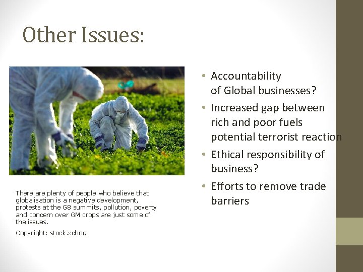 Other Issues: There are plenty of people who believe that globalisation is a negative