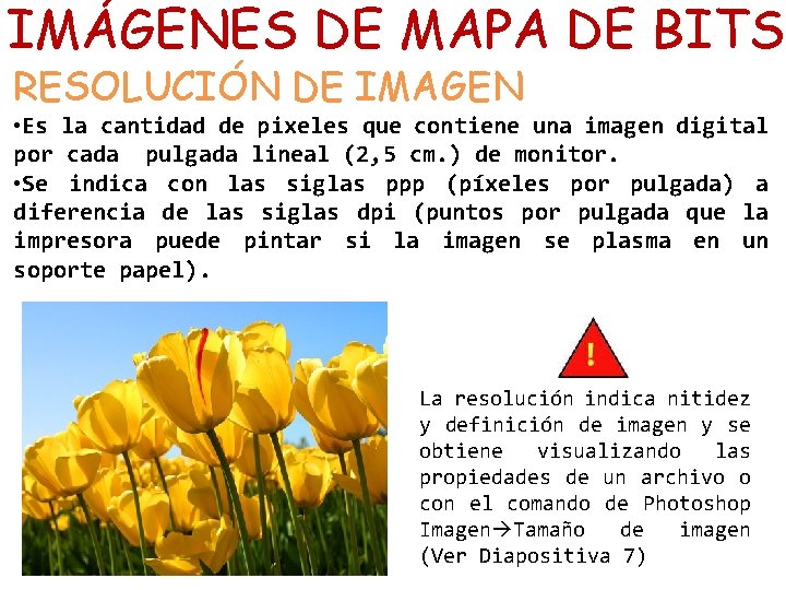 IMÁGENES DE MAPA DE BITS RESOLUCIÓN DE IMAGEN • Es la cantidad de pixeles