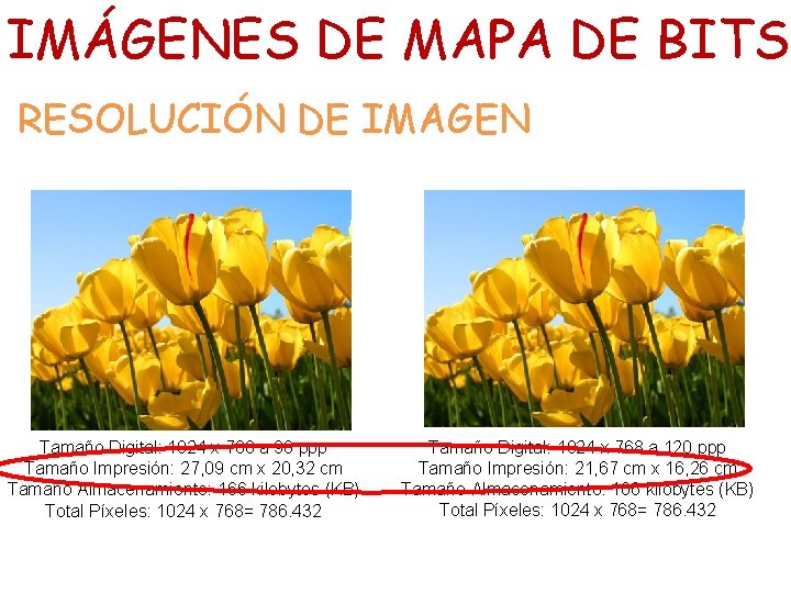 IMÁGENES DE MAPA DE BITS RESOLUCIÓN DE IMAGEN Tamaño Digital: 1024 x 768 a