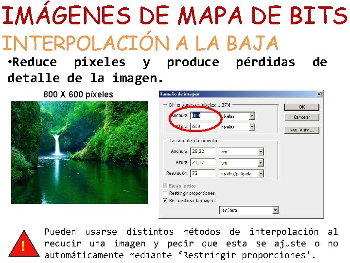 IMÁGENES DE MAPA DE BITS INTERPOLACIÓN A LA BAJA • Reduce pixeles y produce