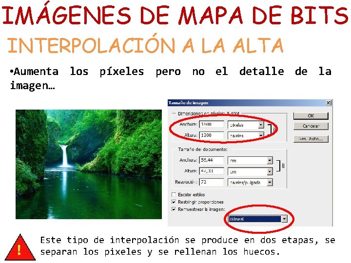 IMÁGENES DE MAPA DE BITS INTERPOLACIÓN A LA ALTA • Aumenta los píxeles pero