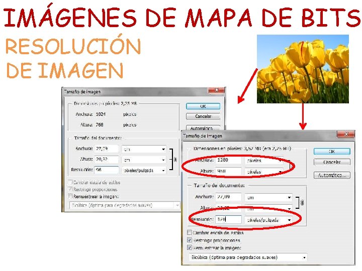 IMÁGENES DE MAPA DE BITS RESOLUCIÓN DE IMAGEN 