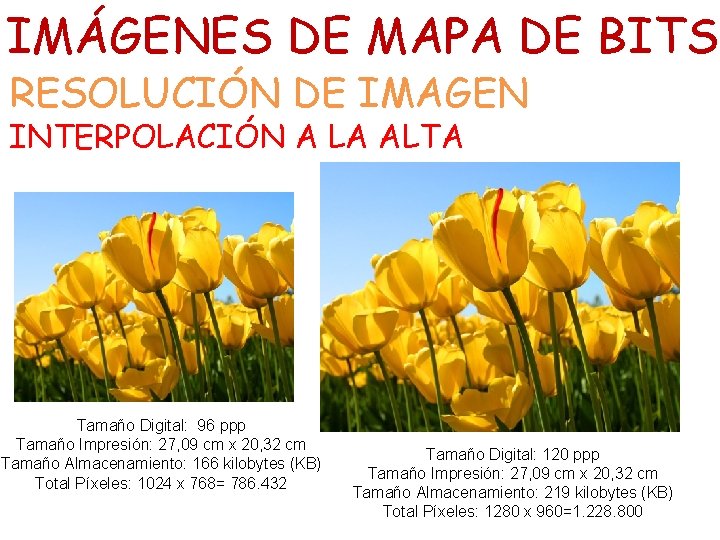 IMÁGENES DE MAPA DE BITS RESOLUCIÓN DE IMAGEN INTERPOLACIÓN A LA ALTA Tamaño Digital: