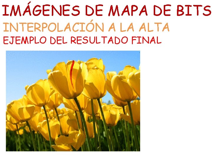 IMÁGENES DE MAPA DE BITS INTERPOLACIÓN A LA ALTA EJEMPLO DEL RESULTADO FINAL 
