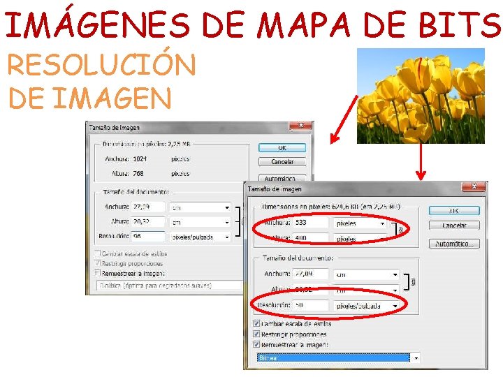 IMÁGENES DE MAPA DE BITS RESOLUCIÓN DE IMAGEN 