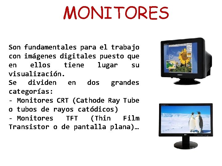 MONITORES Son fundamentales para el trabajo con imágenes digitales puesto que en ellos tiene