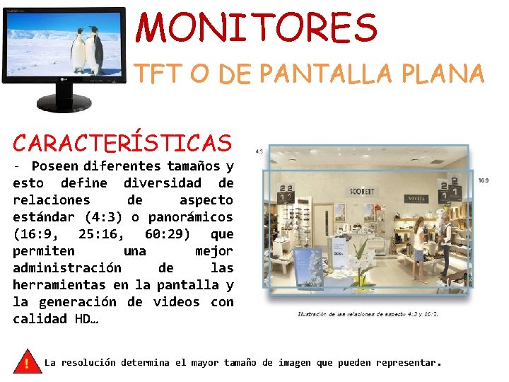 MONITORES TFT O DE PANTALLA PLANA CARACTERÍSTICAS - Poseen diferentes tamaños y esto define