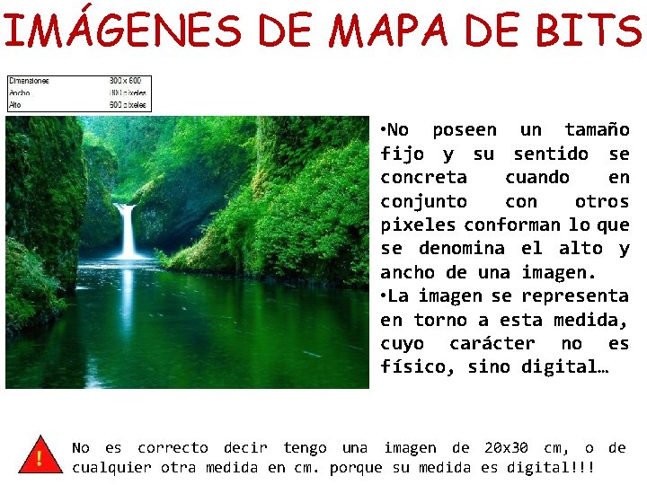IMÁGENES DE MAPA DE BITS • No poseen un tamaño fijo y su sentido