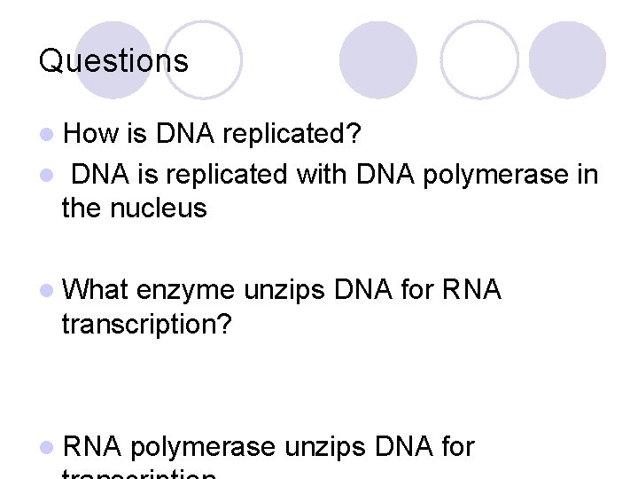 Questions l How is DNA replicated? l DNA is replicated with DNA polymerase in