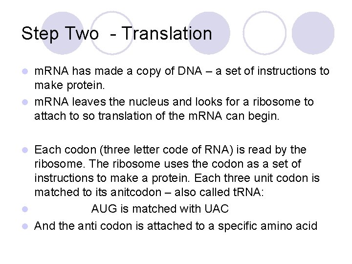 Step Two - Translation m. RNA has made a copy of DNA – a