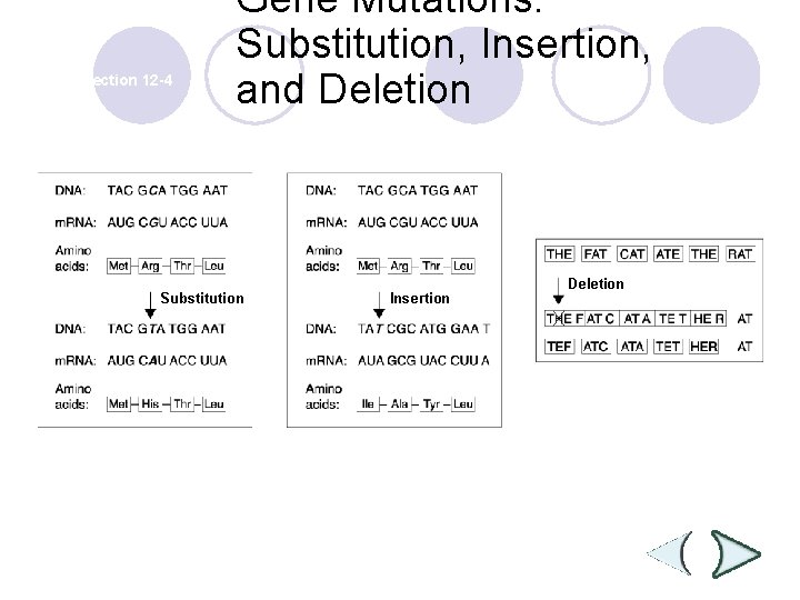 Section 12 -4 Gene Mutations: Substitution, Insertion, and Deletion Substitution Insertion Deletion 