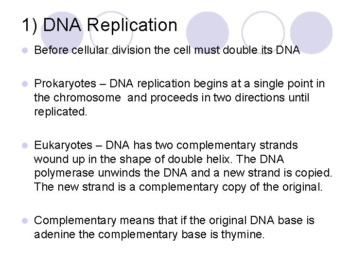 1) DNA Replication l Before cellular division the cell must double its DNA l