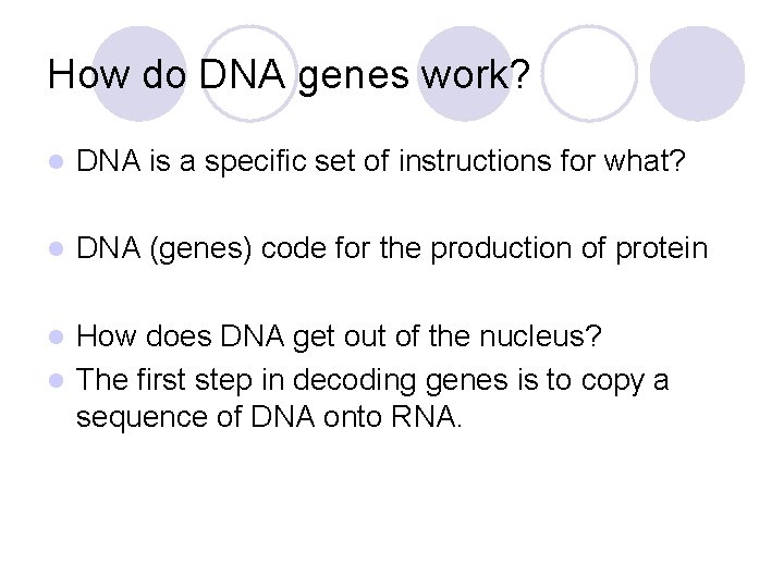 How do DNA genes work? l DNA is a specific set of instructions for