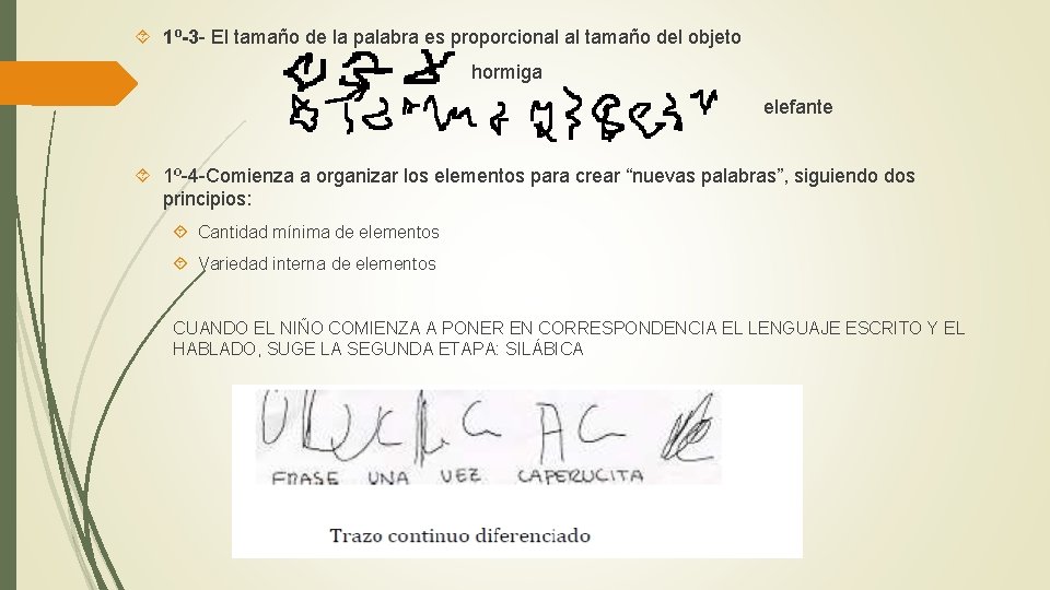  1º-3 - El tamaño de la palabra es proporcional al tamaño del objeto