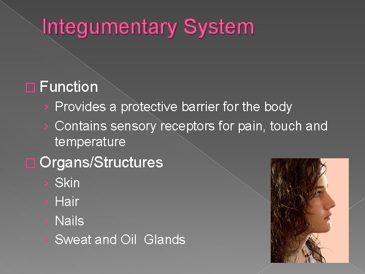 Integumentary System � Function › Provides a protective barrier for the body › Contains