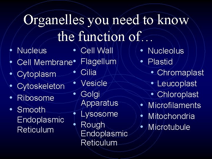 Organelles you need to know the function of… • • • Nucleus • Cell
