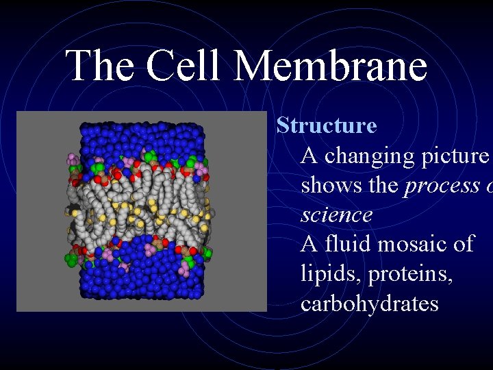 The Cell Membrane Structure A changing picture shows the process o science A fluid