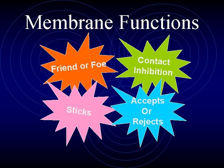 Membrane Functions e o F r o d n e Fri Sticks Contact Inhibition